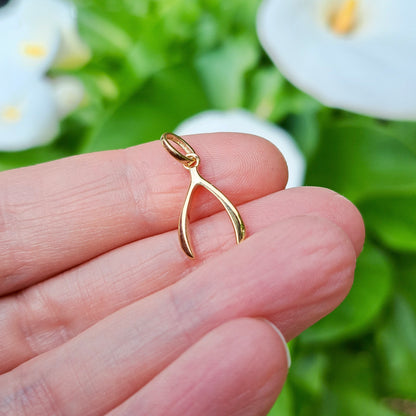 9ct Yellow Gold Lucky Wishbone Pendant