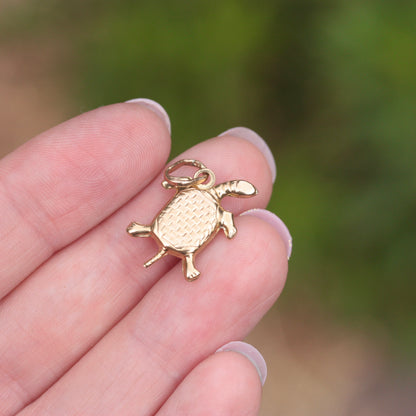 gold tortoise charm